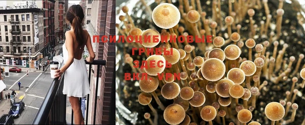 шишки Абдулино