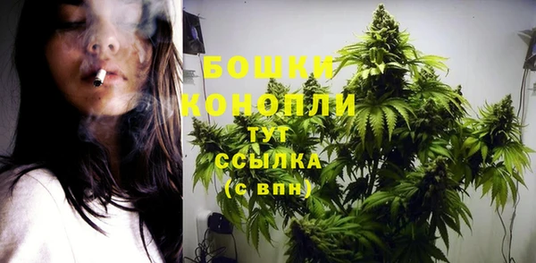 шишки Абдулино