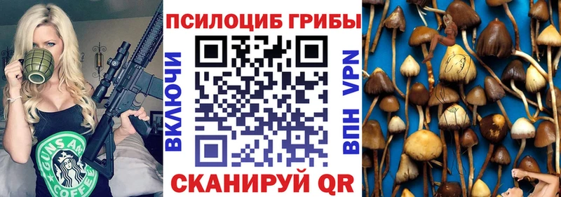 Галлюциногенные грибы Psilocybe  blacksprut как зайти  Костомукша 